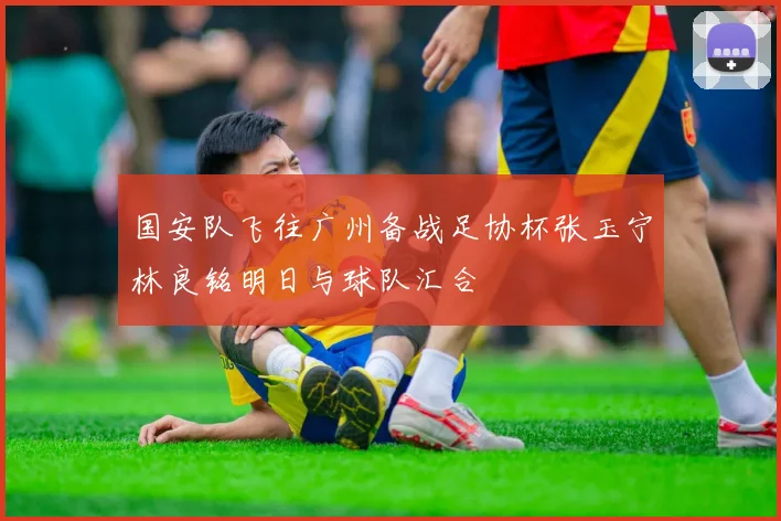 国安队飞往广州备战足协杯张玉宁林良铭明日与球队汇合